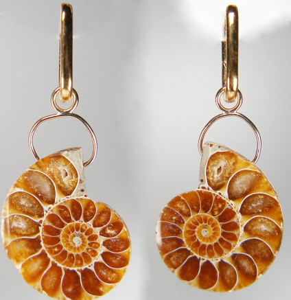 Ammonite eardrops - Beautiful halved and polished ammonite suspended on 9ct yellow gold loops from gold plated silver earrings. Earring total drop 52mm