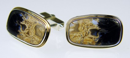Petrified palm wood cufflinks - Petrified palm wood cabochon pair set in silver & 9ct yellow gold. Cufflinks are 25 x 15mm