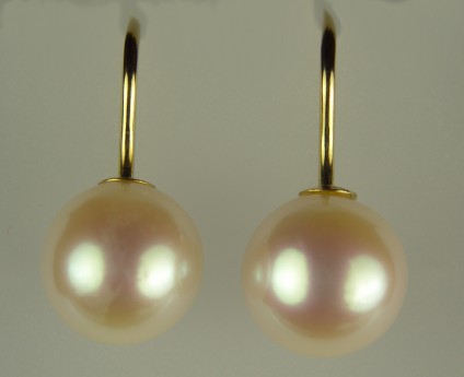 Cultured Pearl Earrings - 10-10.5mm round cultured pearl drops on simple 14ct yellow gold hook earrings