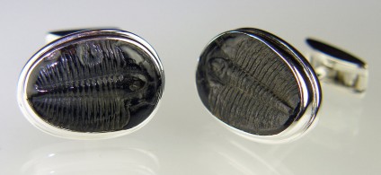 Trilobite cufflinks in silver - Pair of fossilised trilobites (Elrathia sp) from Utah, approximately 520 million years old, set in silver